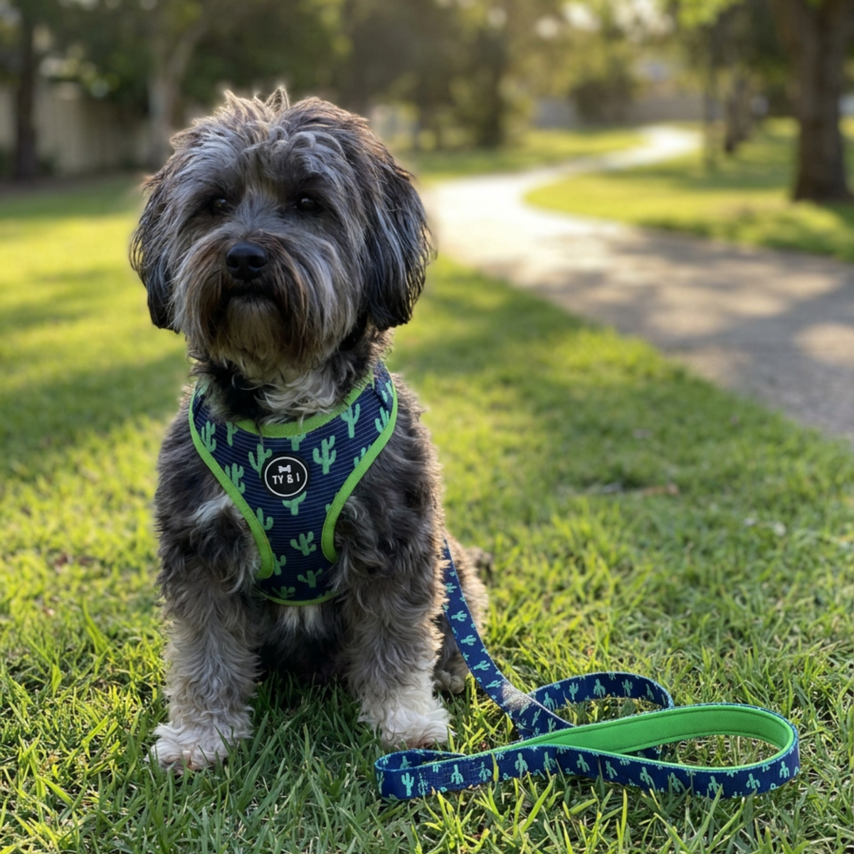 You Prickle My Fancy - Adjustable Harness