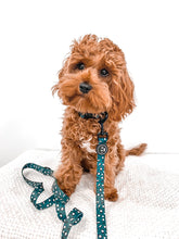 Load image into Gallery viewer, Wild Thing - Collar