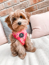 Load image into Gallery viewer, Just Peachy - Adjustable Harness