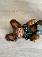 Load image into Gallery viewer, Wild Thing - Adjustable Harness