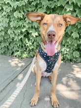 Load image into Gallery viewer, Wild Thing - Adjustable Harness