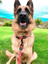 Load image into Gallery viewer, Flower Power - Collar