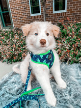 Load image into Gallery viewer, You Prickle My Fancy - Lead