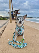 Load image into Gallery viewer, Jungle Fever - Adjustable Harness