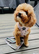 Load image into Gallery viewer, Terrazzo - Adjustable Harness