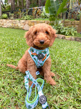 Load image into Gallery viewer, Jungle Fever - Adjustable Harness