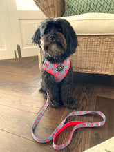 Load image into Gallery viewer, Ships Ahoy - Lead