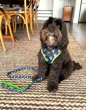 Load image into Gallery viewer, You Prickle My Fancy - Lead