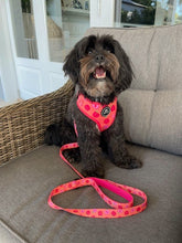 Load image into Gallery viewer, Just Peachy - Lead