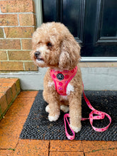 Load image into Gallery viewer, Just Peachy - Adjustable Harness