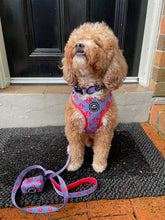 Load image into Gallery viewer, Ships Ahoy - Collar