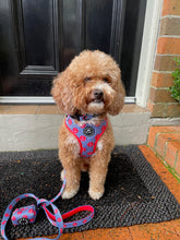 Load image into Gallery viewer, Ships Ahoy - Lead