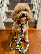 Load image into Gallery viewer, Jungle Fever - Collar