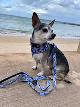 Load image into Gallery viewer, Blue Zebra - Lead