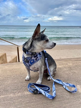 Load image into Gallery viewer, Blue Zebra - Adjustable Harness
