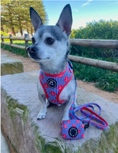 Load image into Gallery viewer, Ships Ahoy - Adjustable Harness