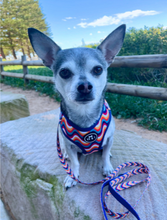 Load image into Gallery viewer, Groovy Baby - Adjustable Harness