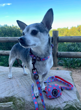 Load image into Gallery viewer, Ships Ahoy - Collar