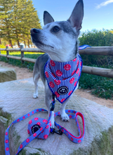 Load image into Gallery viewer, Ships Ahoy - Bandana