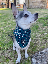 Load image into Gallery viewer, Wild Thing - Bandana