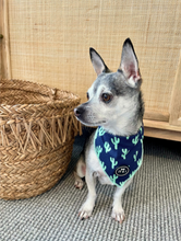 Load image into Gallery viewer, You Prickle My Fancy - Bandana