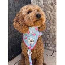 Load image into Gallery viewer, Miami Vice - Bandana