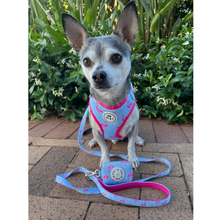 Load image into Gallery viewer, Miami Vice - Adjustable Harness