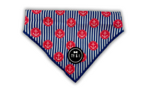 Load image into Gallery viewer, Ships Ahoy - Bandana