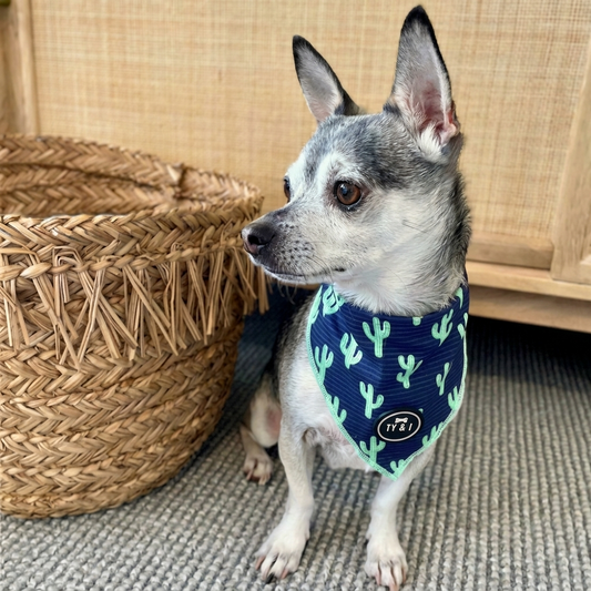 You Prickle My Fancy - Bandana