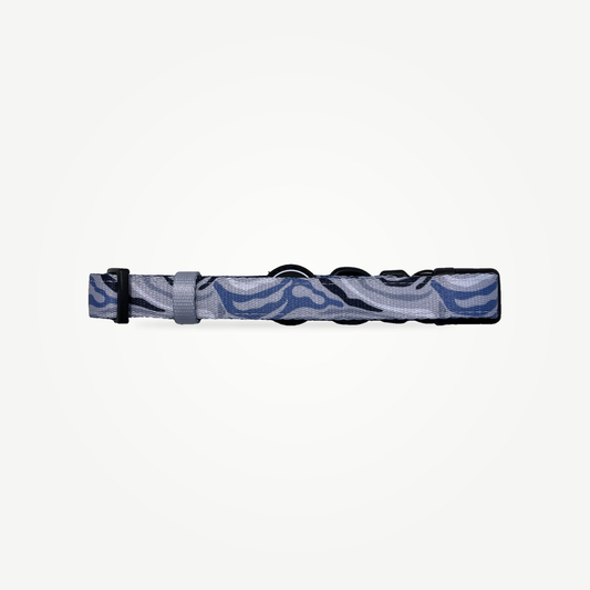 Blue Zebra - Collar
