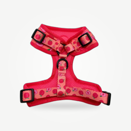 Just Peachy - Adjustable Harness