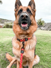 Load image into Gallery viewer, Flower Power - Lead