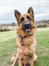 Load image into Gallery viewer, Just Peachy - Collar