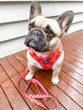 Load image into Gallery viewer, Flower Power - Adjustable Harness
