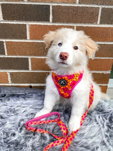 Load image into Gallery viewer, Flower Power - Adjustable Harness