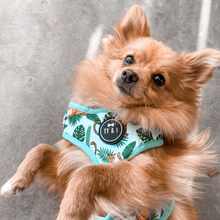 Load image into Gallery viewer, Jungle Fever - Adjustable Harness