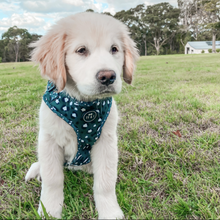 Load image into Gallery viewer, Wild Thing - Adjustable Harness