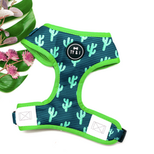 Load image into Gallery viewer, You Prickle My Fancy - Adjustable Harness