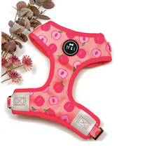 Load image into Gallery viewer, Just Peachy - Adjustable Harness