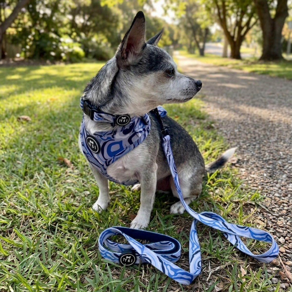 Blue Zebra - Adjustable Harness