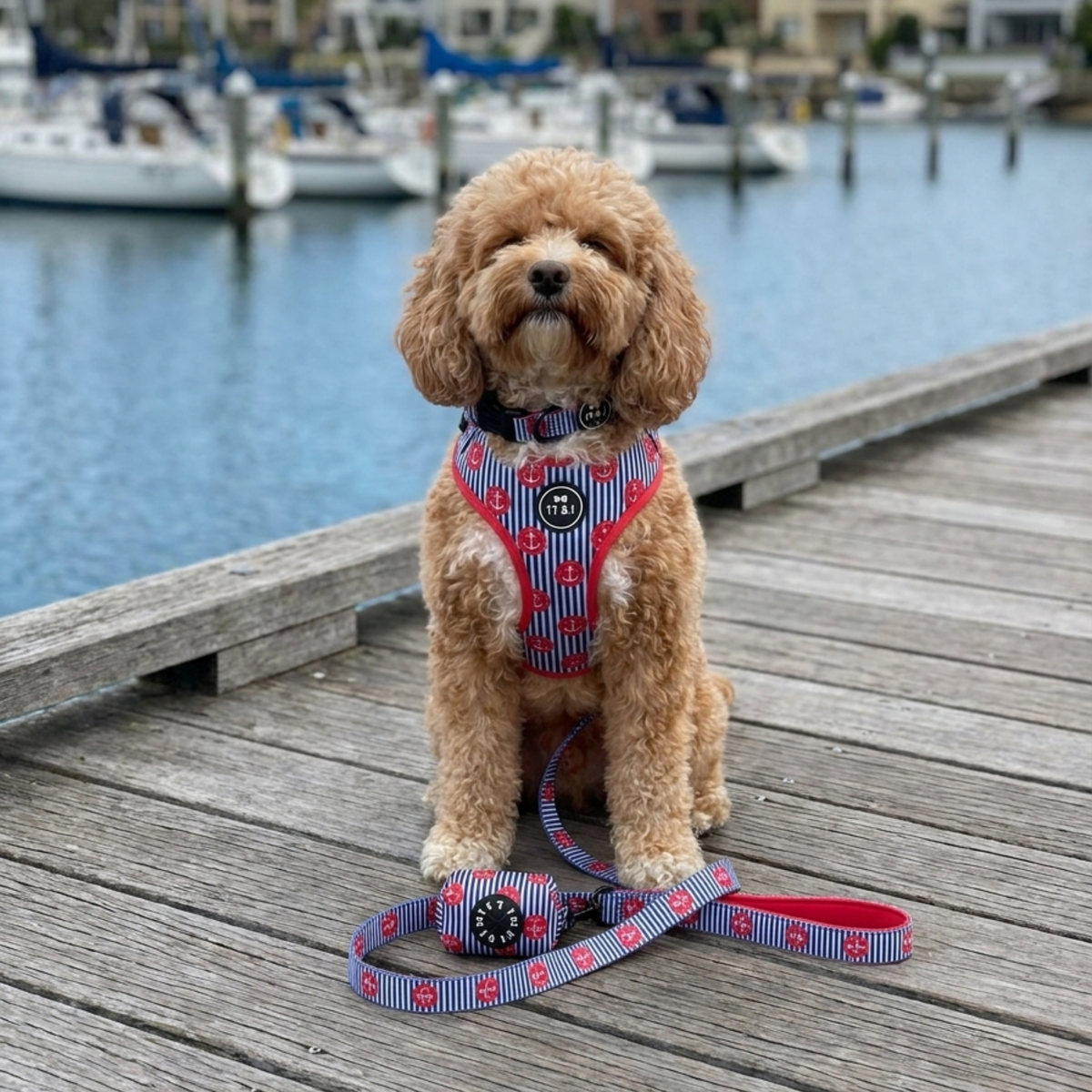 Ships Ahoy - Adjustable Harness