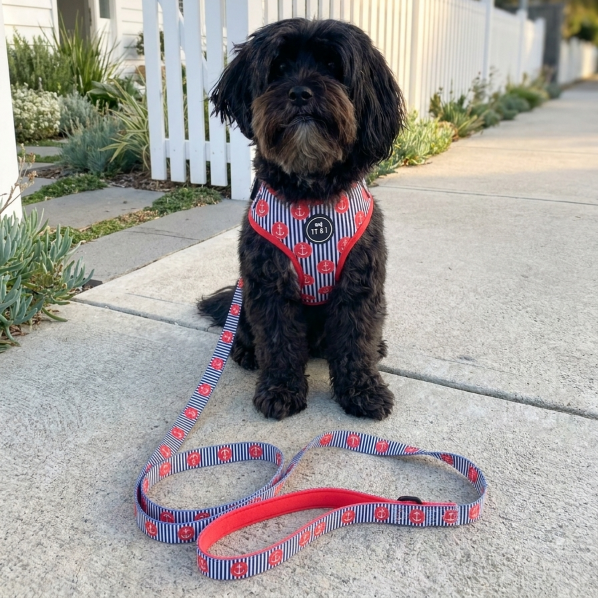 Ships Ahoy - Adjustable Harness