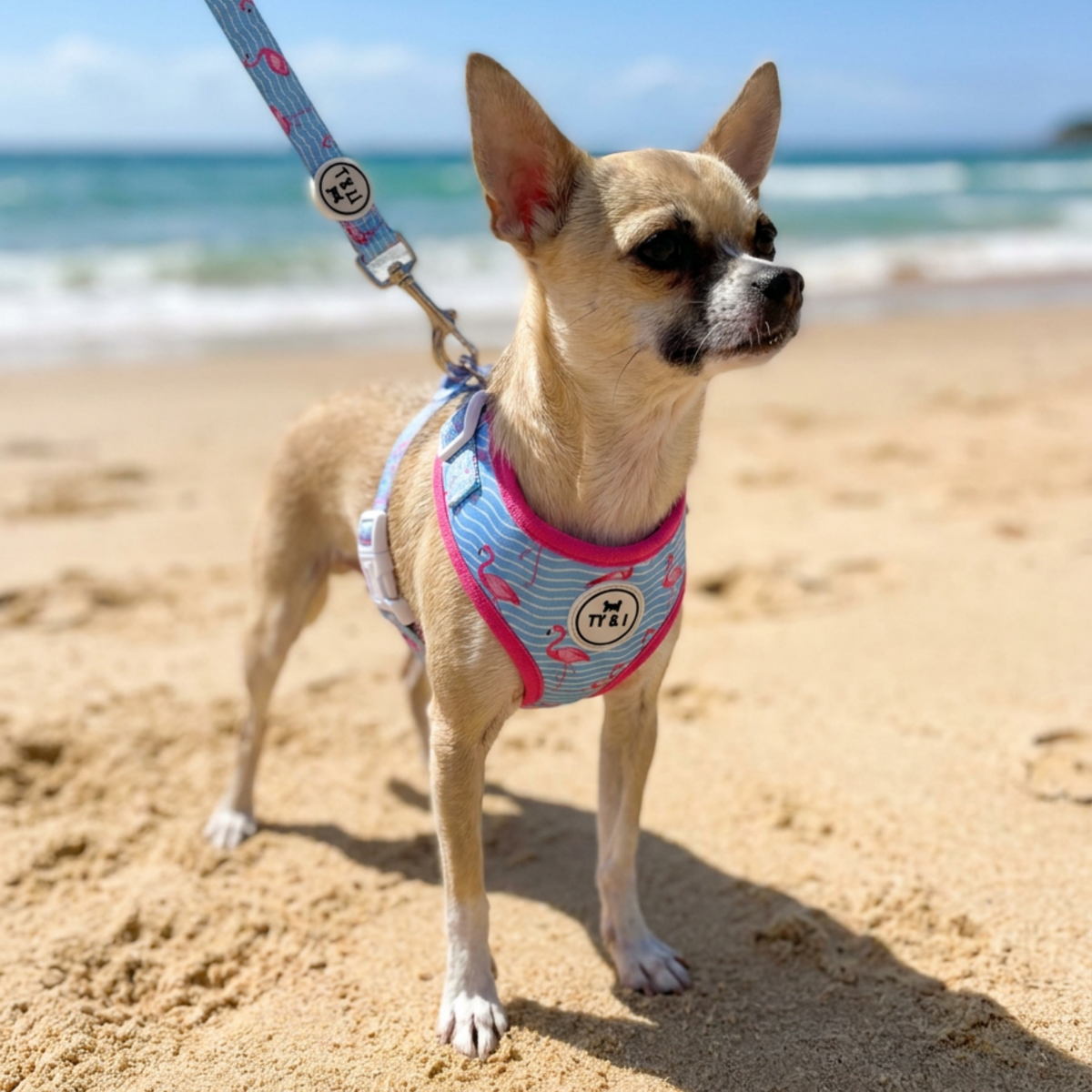 Miami Vice - Adjustable Harness