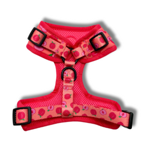 Just Peachy - Adjustable Harness