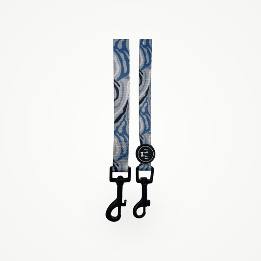 Blue Zebra - Lead