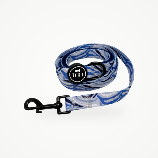 Blue Zebra - Lead