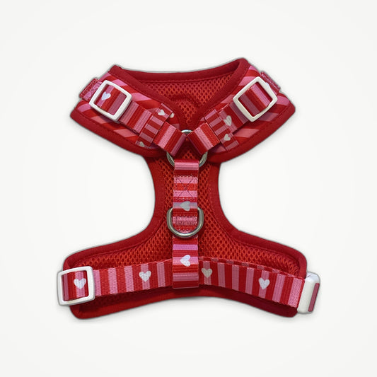 Love Lines - Adjustable Harness