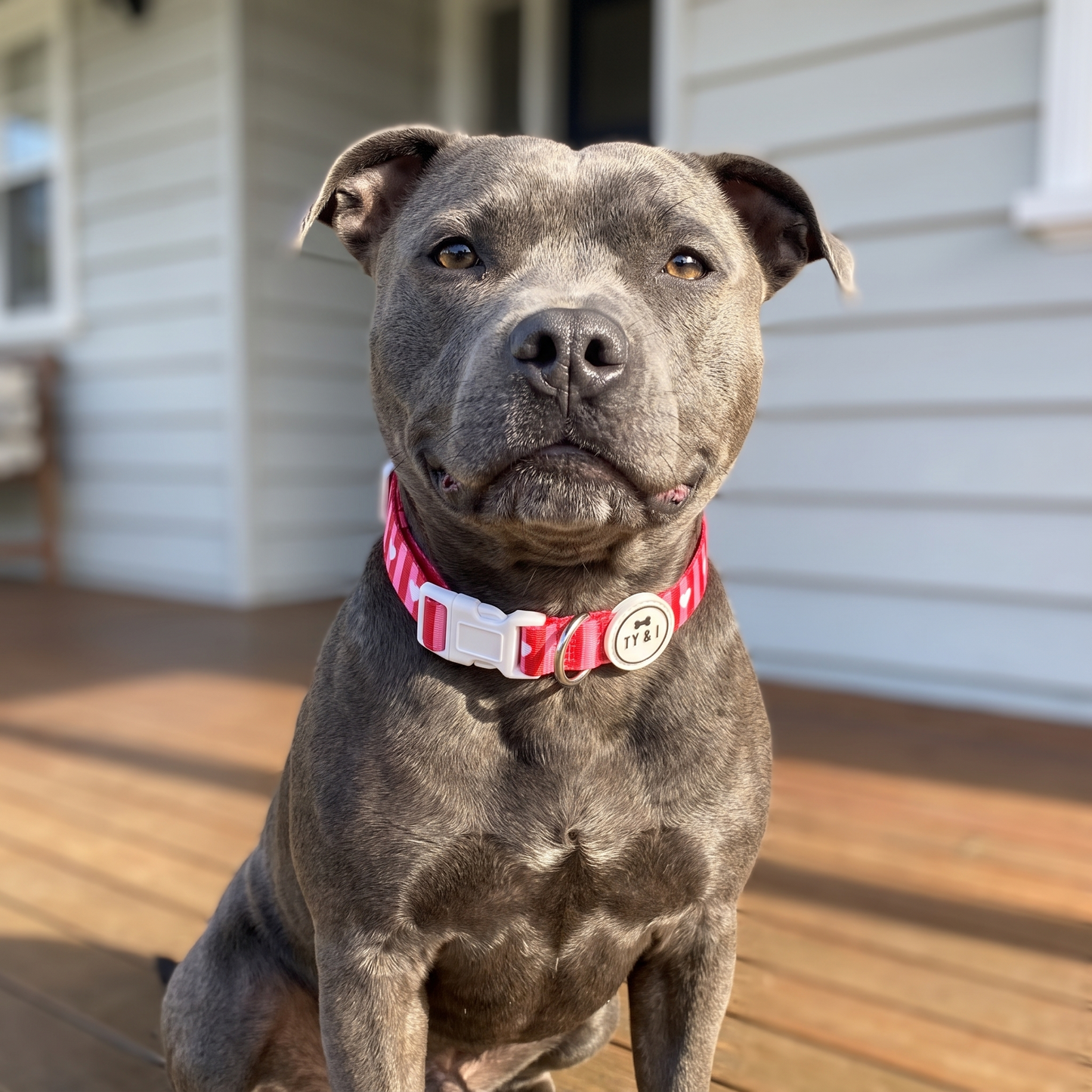 Love Lines - Collar