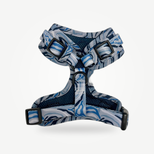 Blue Zebra - Adjustable Harness