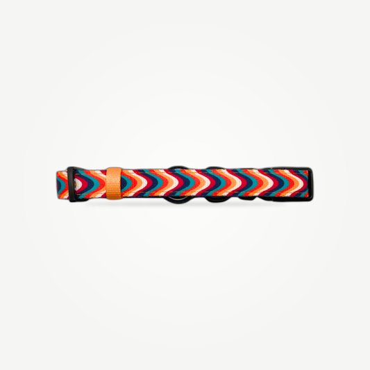 Groovy Baby - Collar